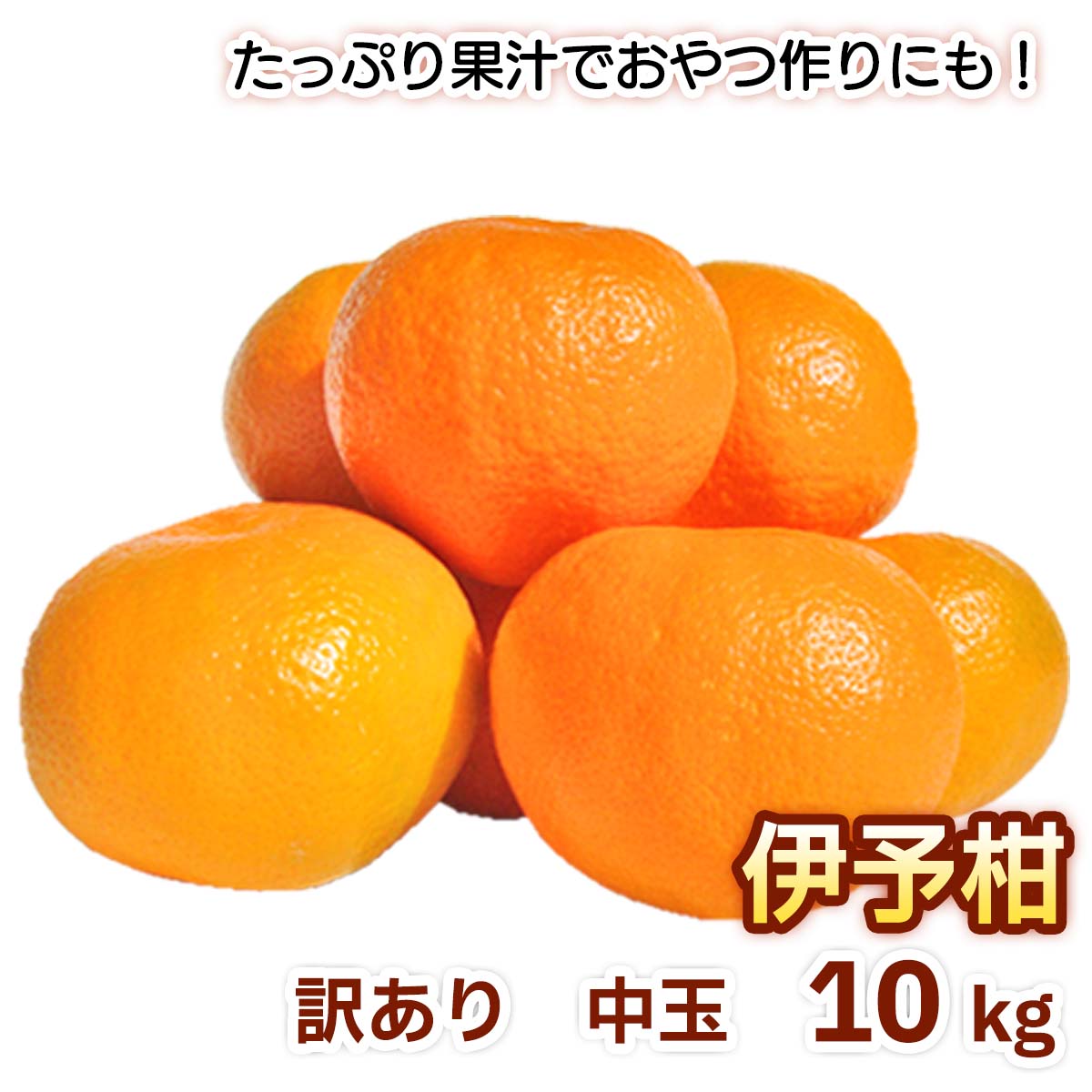 伊予柑 訳あり L 3l 10kg 清家ばんかんビレッジ